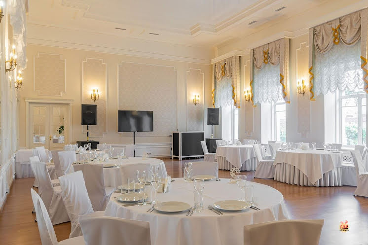 Зал «Парадный» в «Особняк Брюллова» фотография №19