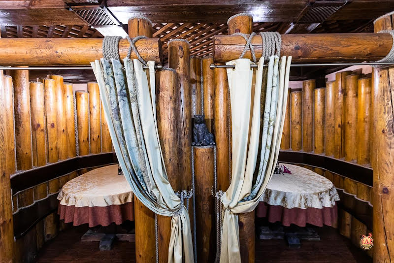 Медведь фотография №13