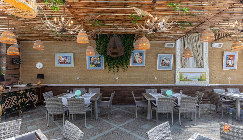 Олли фотография №12