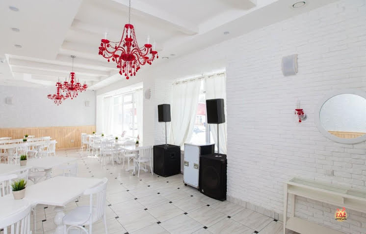 Большой зал в «Бузина» фотография №4