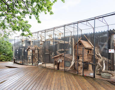 Свадьба в THE Камский