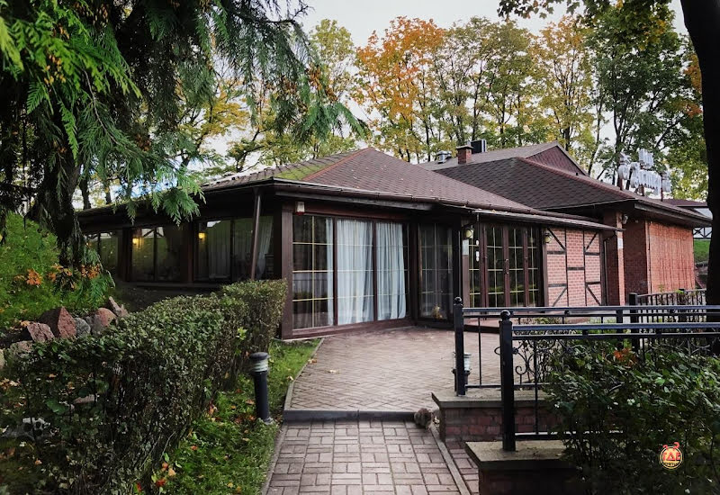 Астер фотография №6