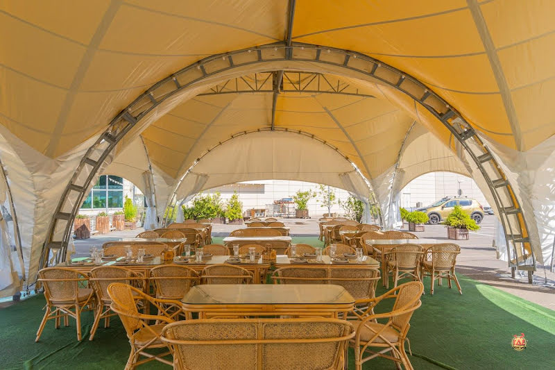 Гуси-Лебеди фотография №19