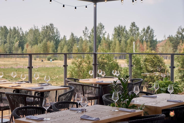 Терраса в «Оазис Гурме» фотография №7