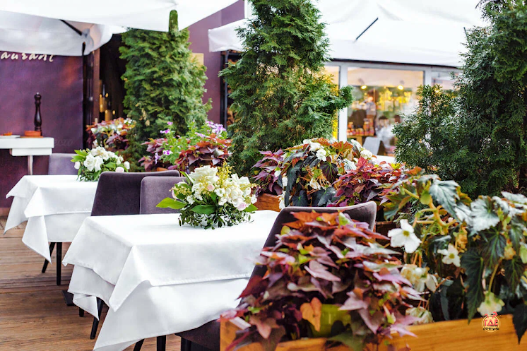 Летняя терраса в «Accenti» фотография №3