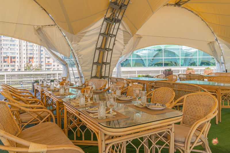 Гуси-Лебеди фотография №13