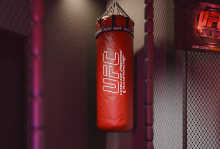 Лофт «UFC» в Лофт «Веном»