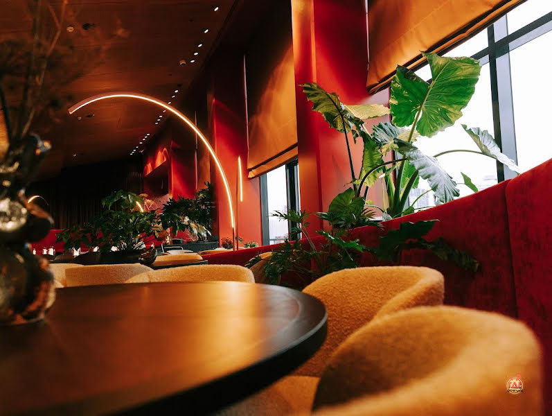 TRIBU фотография №2