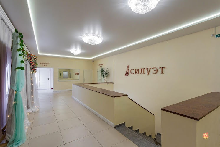 Каминный зал в «Силуэт» фотография №4