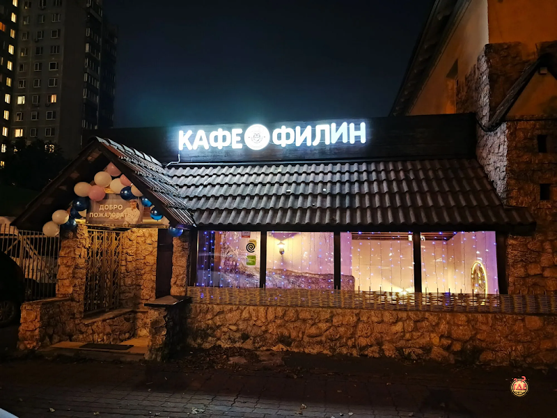 Филин фотография №3