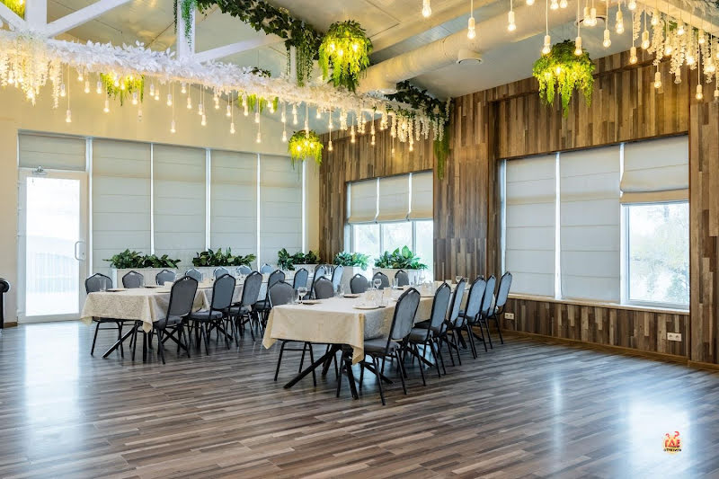 Чайка фотография №4