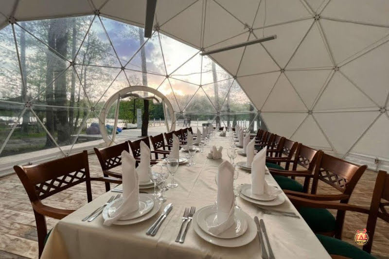 Гуси-Лебеди фотография №3