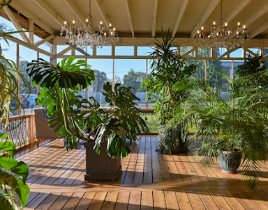 День рождения в Горки-10