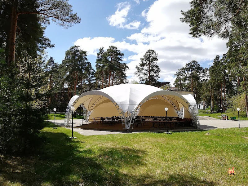 Чайка фотография №19