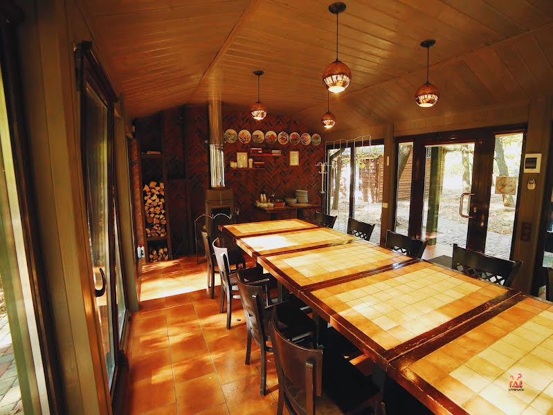 Дубровский фотография №12