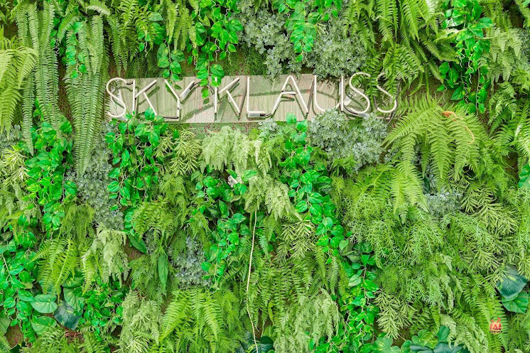 Sky Klauss в «Папаша Клаусс» фотография №3