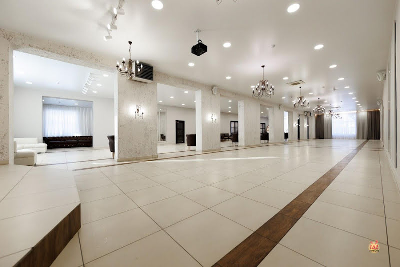 Чайка фотография №3