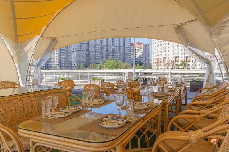 Гуси-Лебеди фотография №1