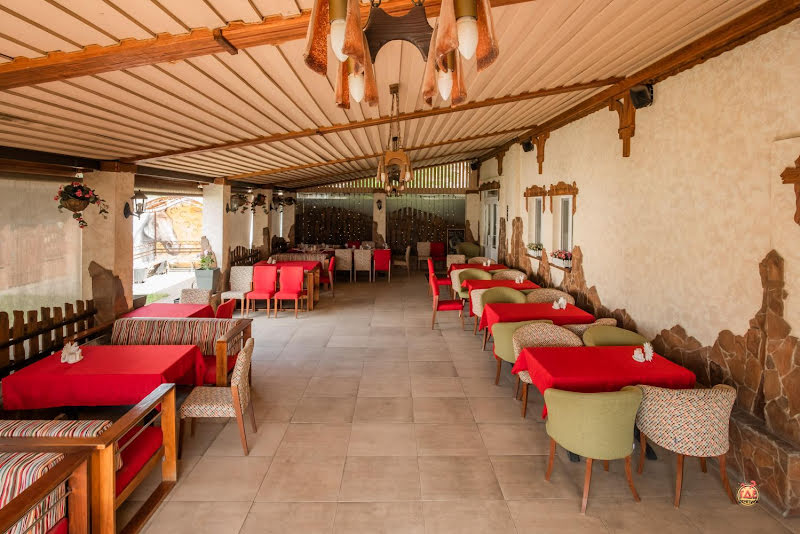 Белая лошадь фотография №14