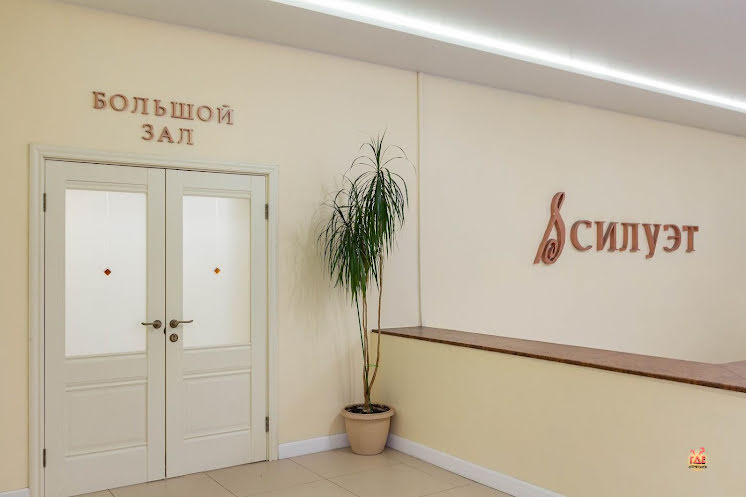 Большой зал в «Силуэт» фотография №7
