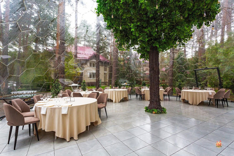 Хвоя фотография №7