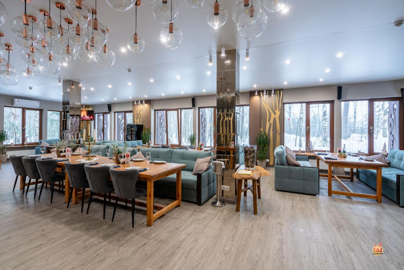 Гуси-Лебеди фотография №13