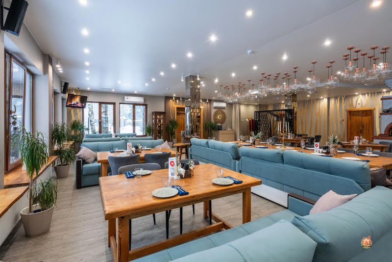 Гуси-Лебеди фотография №18