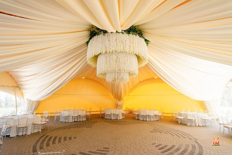 Наша Хвоя фотография №11