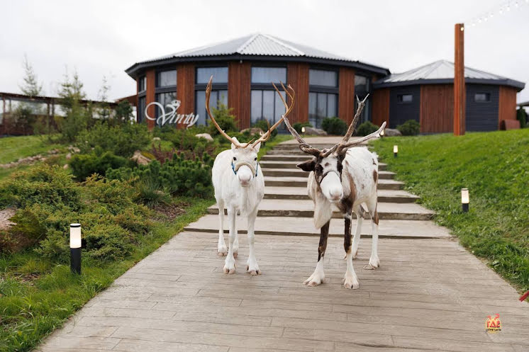 Ресторан Vinity Forest в «Vinity Forest» фотография №4