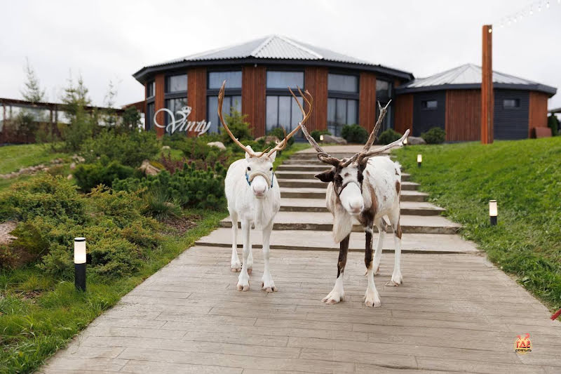 Vinity Forest фотография №5