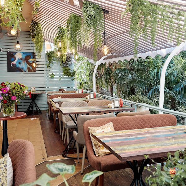 Оливье фотография №1