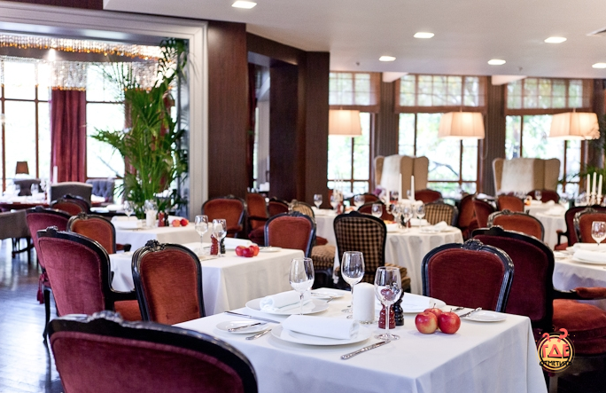 Аист в «Аист» фотография №4