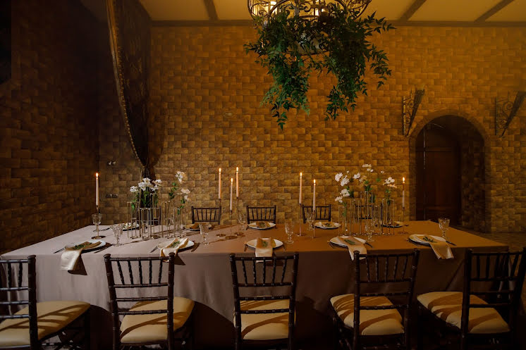 Каминный зал в «Резиденция Сагиттариус» фотография №5