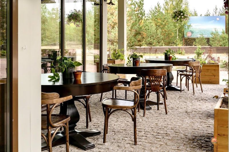 Лес фотография №3