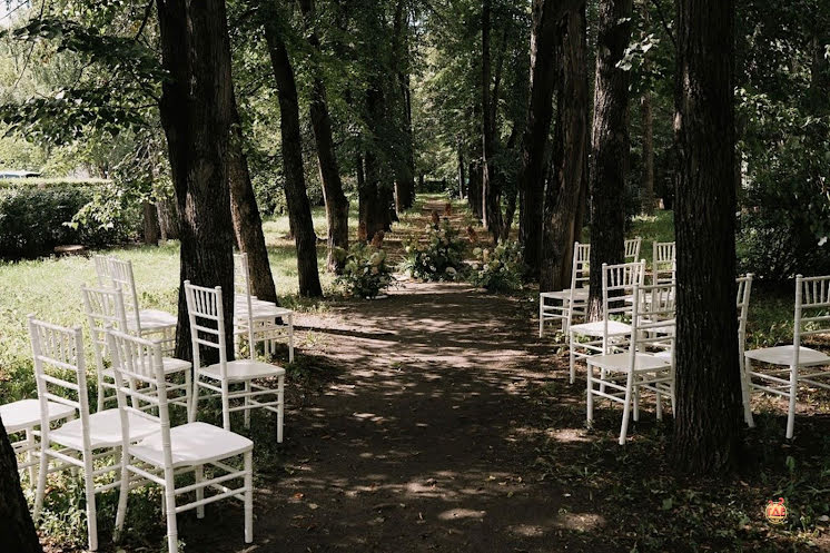 Аллея деревьев в «MORE AMORE» фотография № 1