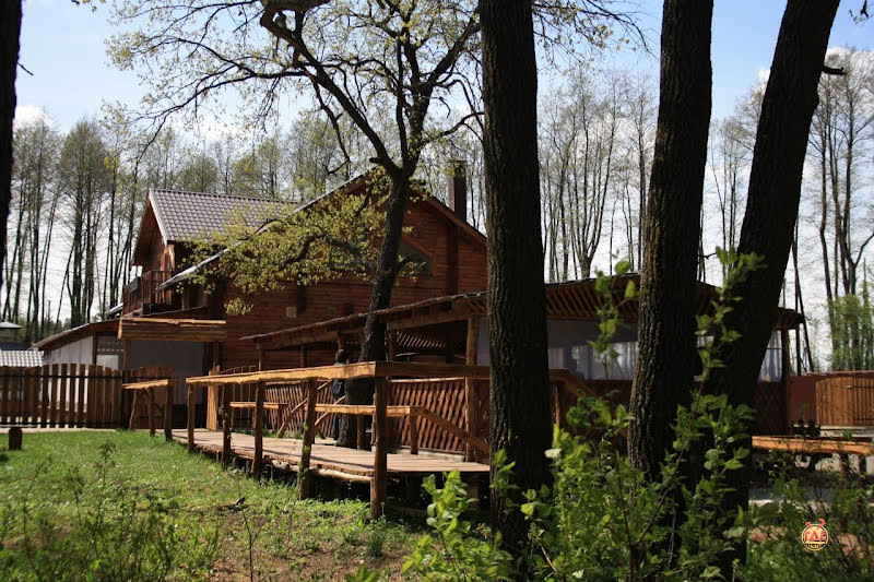 Дубрава фотография №17