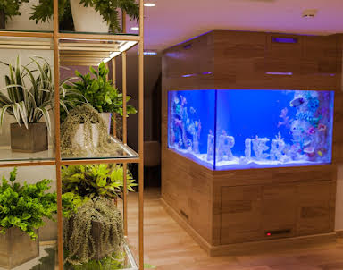  ресторан River, Wine Story