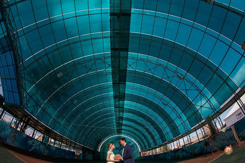 Pilot фотография №17