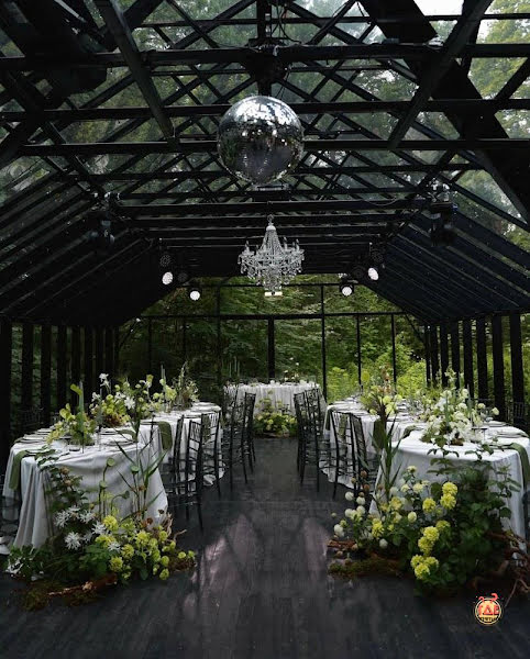 Forest Dew фотография №3