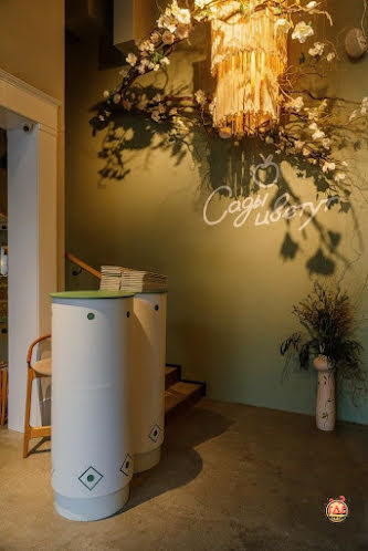 VIP-комната в «Сады цветут» фотография №9