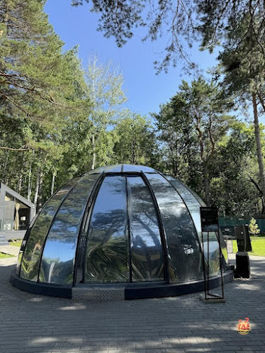 SFERA 2 в «Парк-отель  «Сосновый бор»» фотография № 1