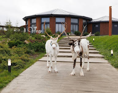  ресторан Vinity Forest