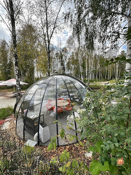 ПЛАНЕТА Q фотография №2