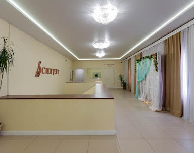 День рождения в Силуэт