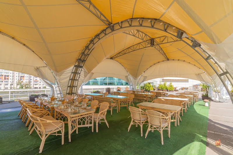 Гуси-Лебеди фотография №17