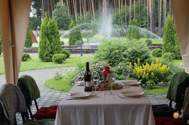 Сосновый бор фотография №11