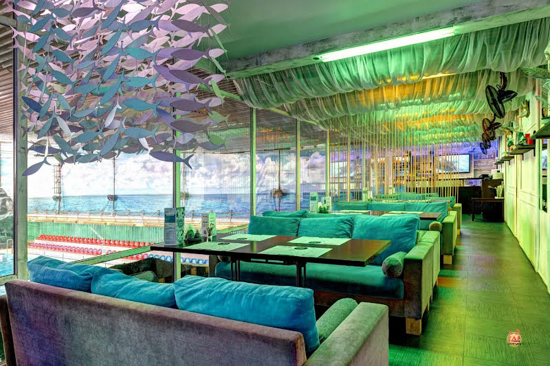 DOLPHIN PLANET фотография №4