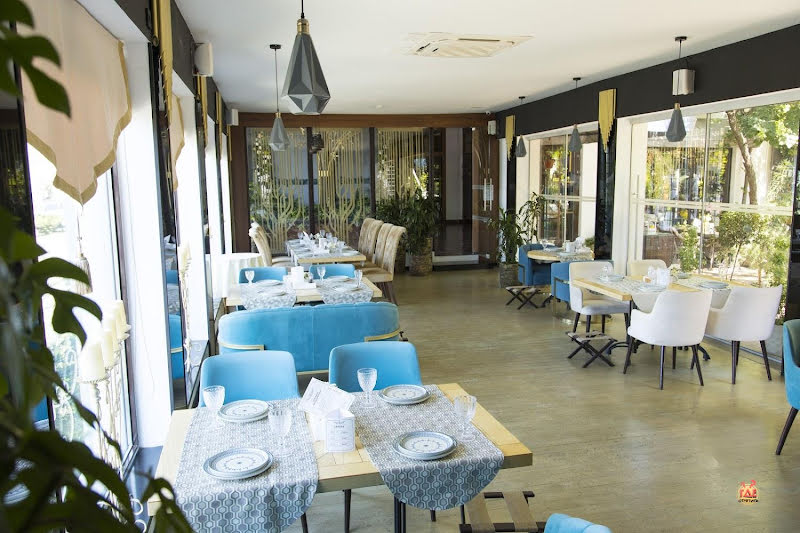 Stephania фотография №3