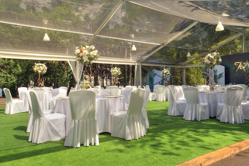 Притомье фотография №15