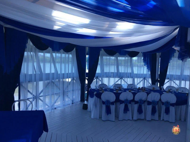 Дельфин фотография №1